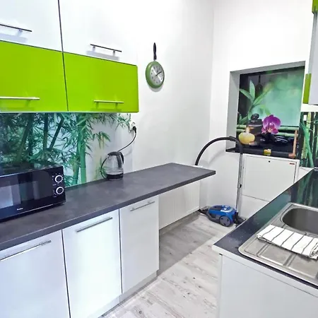 Zabrze, W Centrum Z Prywatnym Parkingiem Zabrze