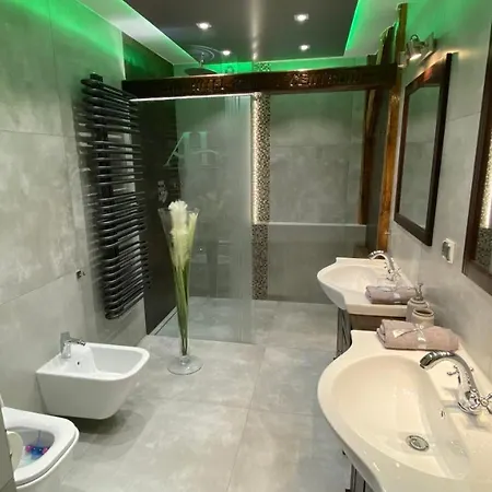 Appartement Zabrze, W Centrum Z Prywatnym Parkingiem 4*