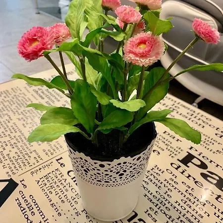 Zabrze, W Centrum Z Prywatnym Parkingiem Appartement 4*