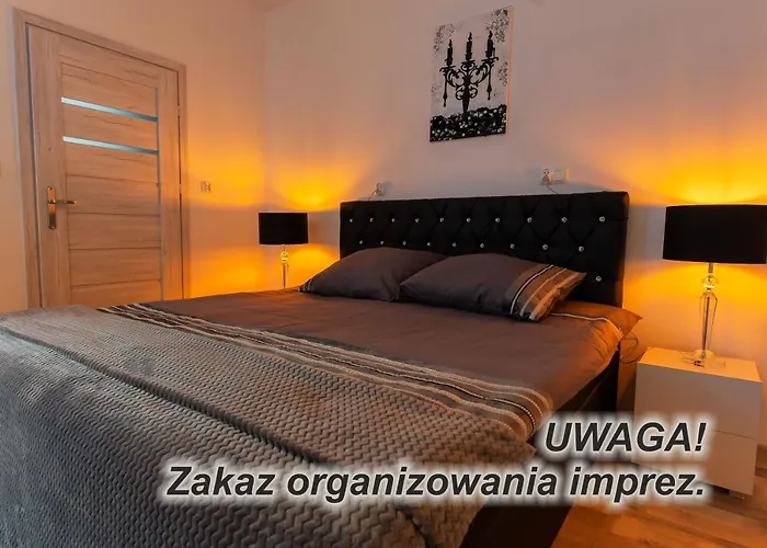 Zabrze, W Centrum Z Prywatnym Parkingiem Zabrze