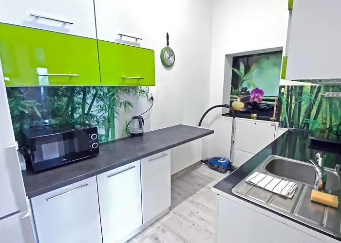 Zabrze, W Centrum Z Prywatnym Parkingiem זברזה